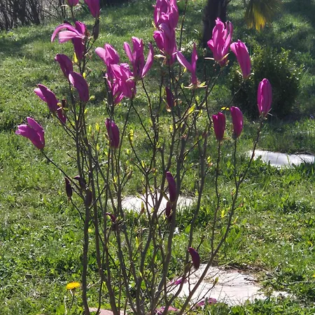 Plain Pied Avec Vue Imprenable