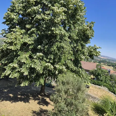 Plain Pied Avec Vue Imprenable Daire